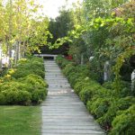 Recargar entel chile