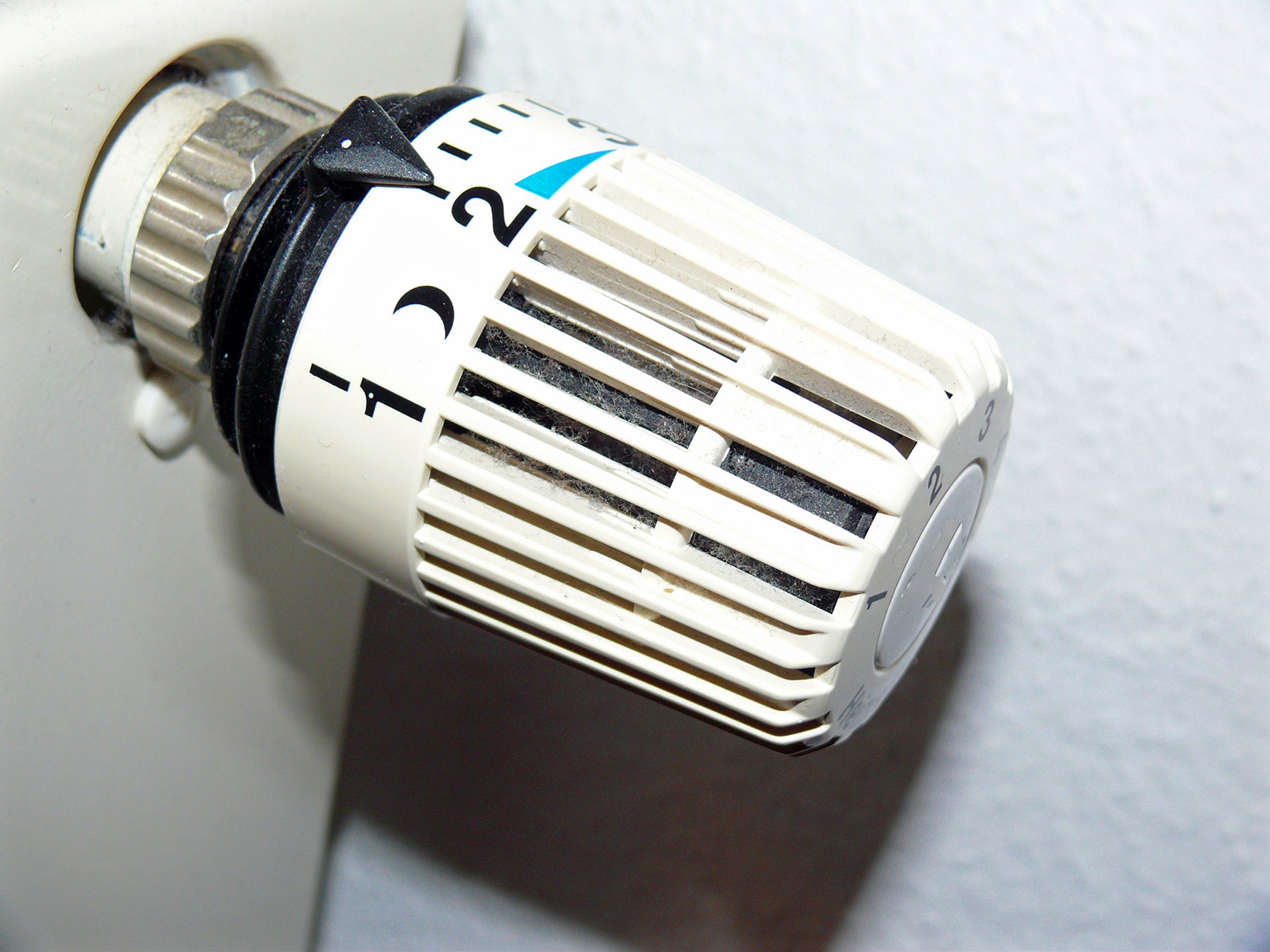 Oficina Para Pagar Taxes