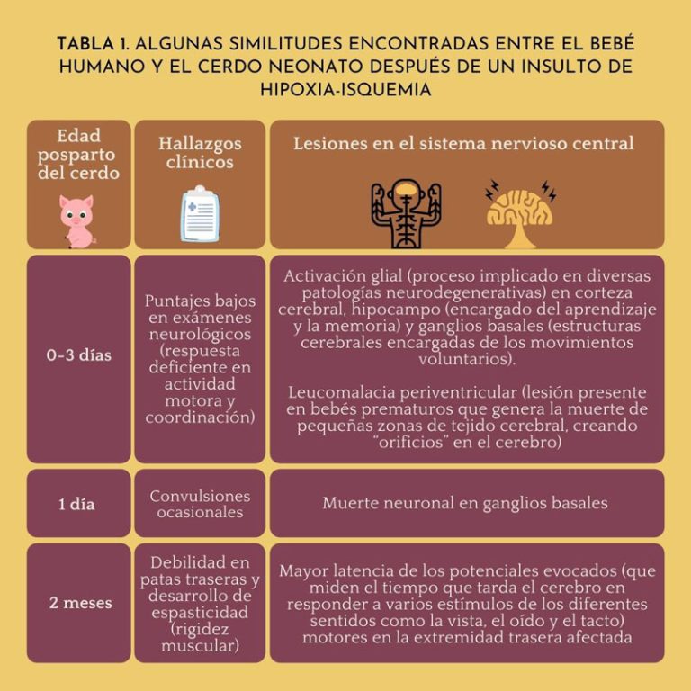 Recargar celular Colombia desde Estados Unidos